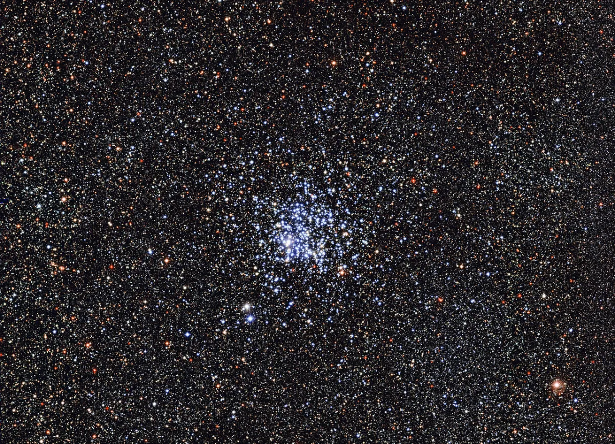 L’Ammasso dell’Anatra selvatica, M11